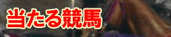 当たる競馬